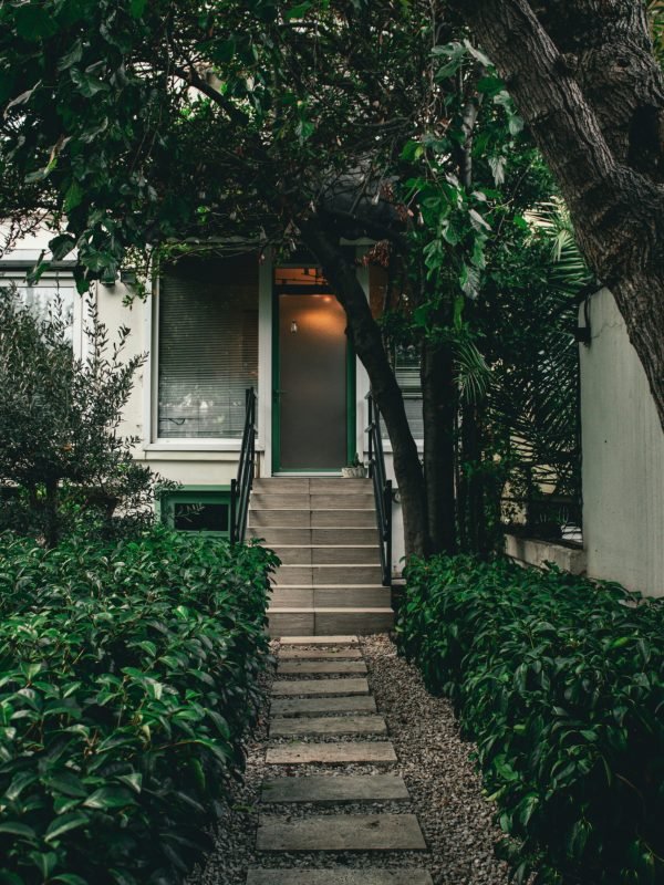 pexels-i-ro-351893550-34137090 pexels-i-ro-351893550-34137090